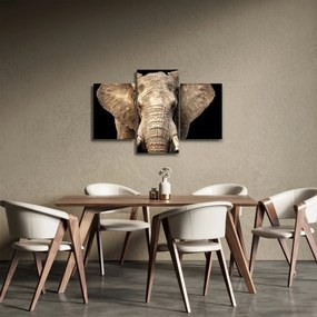 Kép - Afrikai elefánt (90x60 cm)