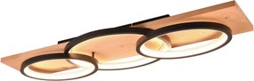 TRIO 641110332 BARCA Modern LED Mennyezeti Lámpa Fekete LED IP20