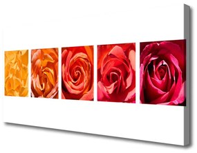 Vászonfotó Rózsa virágok Plant 120x60 cm
