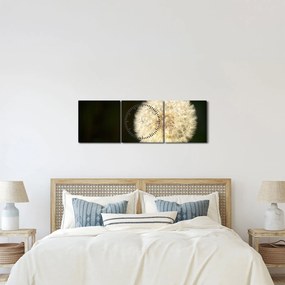Szürke virág képe (órával) (90x30 cm)