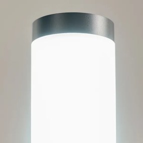 BRILAGI-LED dimmelhető kültéri lámpa ELIA 1xE27/6W/230V 2700-6500K IP44 50 cm antracit