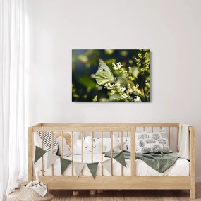 Pillangó képe (90x60 cm)