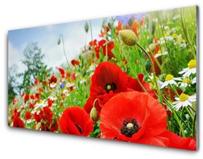 Akril üveg kép virágok Természet 100x50 cm