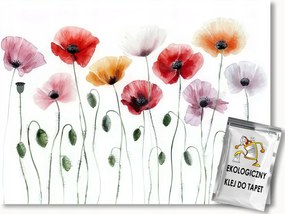 Fotótapéta Flizelina Akvarell Természet Kert Mező Virágok Pipacsok 350x250 ragasztó