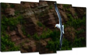 Vászonkép 100x60 Madarak