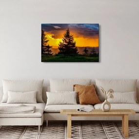 Kép - tűlevelűek (90x60 cm)