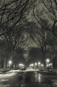 Poszter 53x81cm Éjszakai kilátás a Central Parkon át vezető útra, Assaf Frank