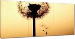 Vászonkép 120x60 Pitypang Virág Virágok