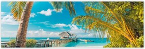 Poszterek 200x66 Trópusok Tájkép Pálma