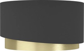 Mennyezeti Lámpa Fekete MANDERLINE EGLO 39924