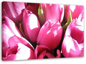 Gario Vászonkép Rózsaszín tulipán csokor Méret: 60 x 40 cm