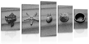 5 részes kép kagylók a tengerparton fekete fehérben