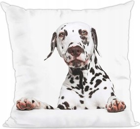 Kutya párna, dalmata kutyus