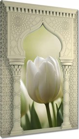 Vászonkép 80x120 Fehér tulipánok