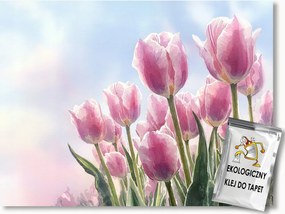 Fotótapéta Flizelina Tavasz Tulipánok Rózsaszín Virágok 312x219 ragasztó