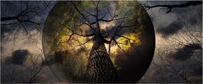 Kép - Titokzatos ég (120x50 cm)