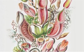 Fotótapéta Flizelin Dekoratív tapéta Növényi részletek 416x254 Ragasztó