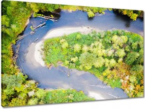 Vászonkép 90x60 Görbe út Erdő Ősz