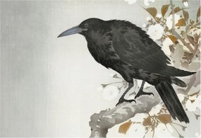 Stílusos Dekoratív Fotótapéta Flizelin Holló virágokkal 152x104 Ragasztó