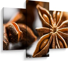 Kép - Anise (90x60 cm)