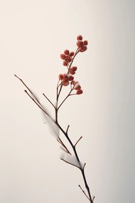 Poszter 40x60cm A tél finom ereje