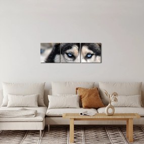 Husky kutya kép (órával) (90x30 cm)