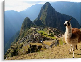 Kép - Láma és Machu Picchu (70x50 cm)