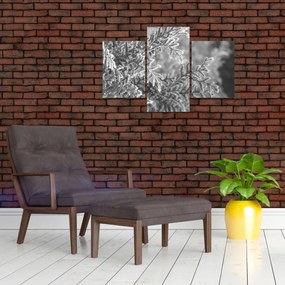 Kép - Lucfenyő erdő (90x60 cm)