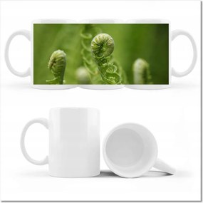 Fotó bögre Páfrányok Erdő Zöld levél