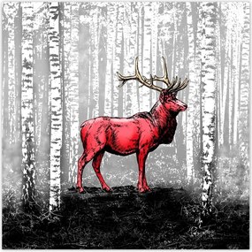 Poszterek 70x70 Szarvas Nyírfa Erdő
