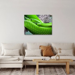 Zöld kígyók képe (70x50 cm)