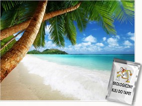 Fotótapéta Tengerpart Pálmafák A Nappali Hálószobájába Fali Tapéta 400x280