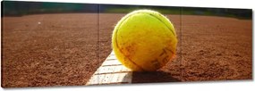 Vászonkép 90x30 Teniszlabda Tenisz