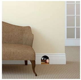 Mouse Hole falmatrica - Ambiance