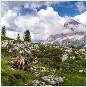 Poszterek 140x140 Hegyi kilátás Tájkép