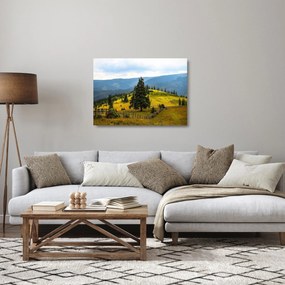 Kép - Hegyi rét (üvegen) (70x50 cm)