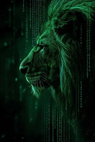 Poszter 61x90,5cm Erő kód