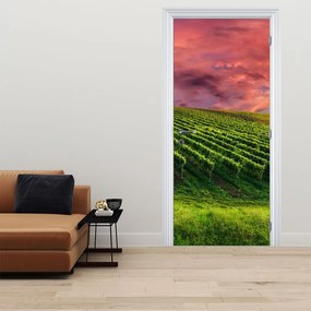 Fotótapéta ajtóra - Szőlőskert színes égbolttal (95x205cm)