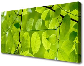 Vászonkép falra Elhagyja Plant 140x70 cm
