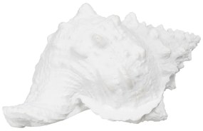 Poligyanta szobor (magasság 12 cm) Seashell – Ixia