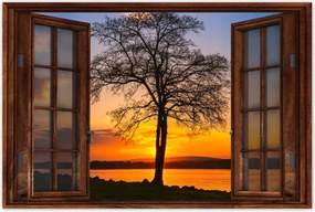 Poszterek 90x60 Fa naplemente