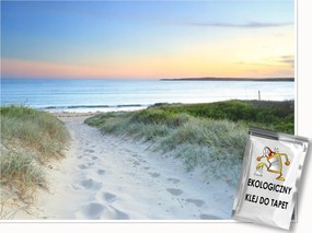 Fotótapéta Tengerpart Dűnék Hálószoba Nappali Fali Tapéta 400x280