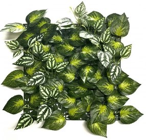 Aureus műanyag zöldfal 33x33 cm