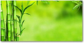 Üvegpanel konyhába Bambusz 120x60 cm Ragasztó