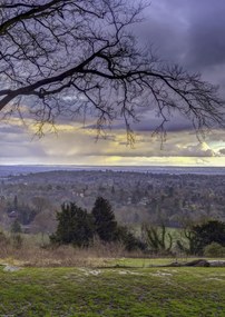 Poszter 29,7x42cm Reigate Hill 2, Assaf Frank