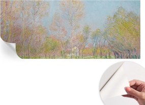 Fotótapéta Fali tapéta Hálószobába és Nappaliba Tavaszi park 250x104 cm