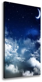 Vászonkép falra Csillagos égbolt ocv-55657351