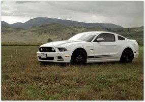 Fotótapéta flizelina 312x219 fehér Ford Mustang