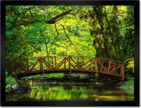 Poszterek keretben 40x30 Fa híd