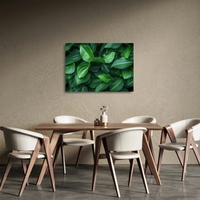 Üveg kép - Zöld levelek (70x50 cm)